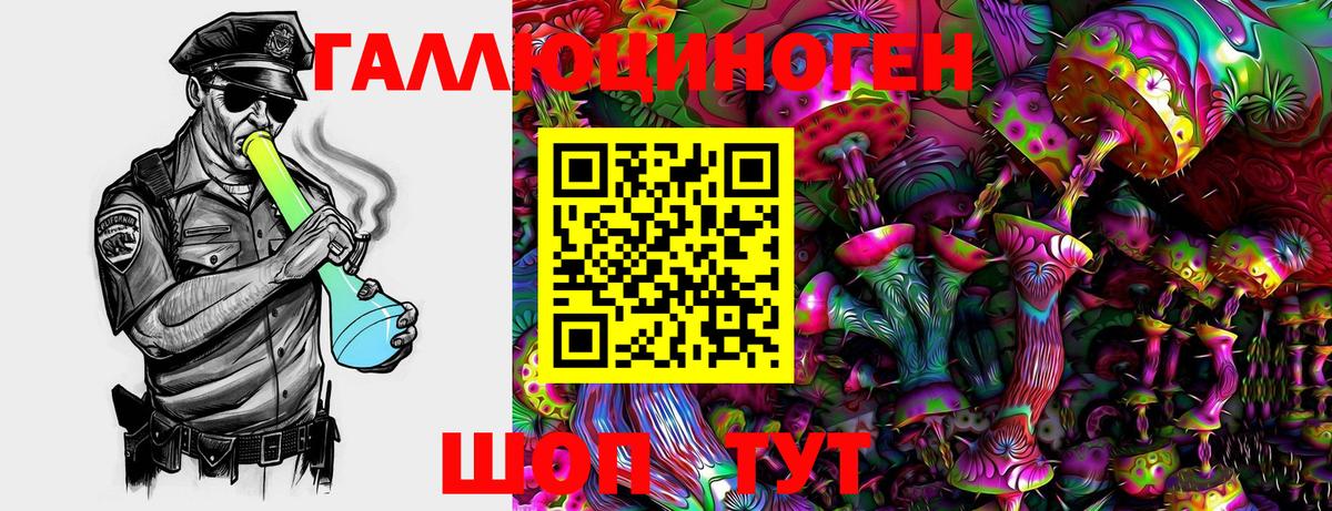 Псилоцибиновые грибы Cubensis Новотроицк